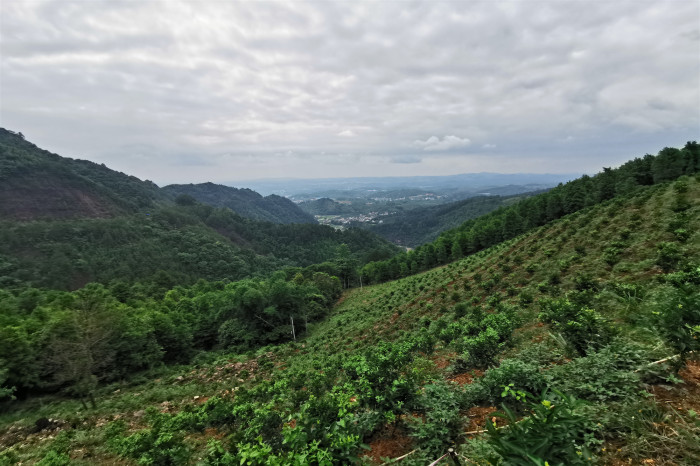 中国·88858cc永利(股份)官方网站