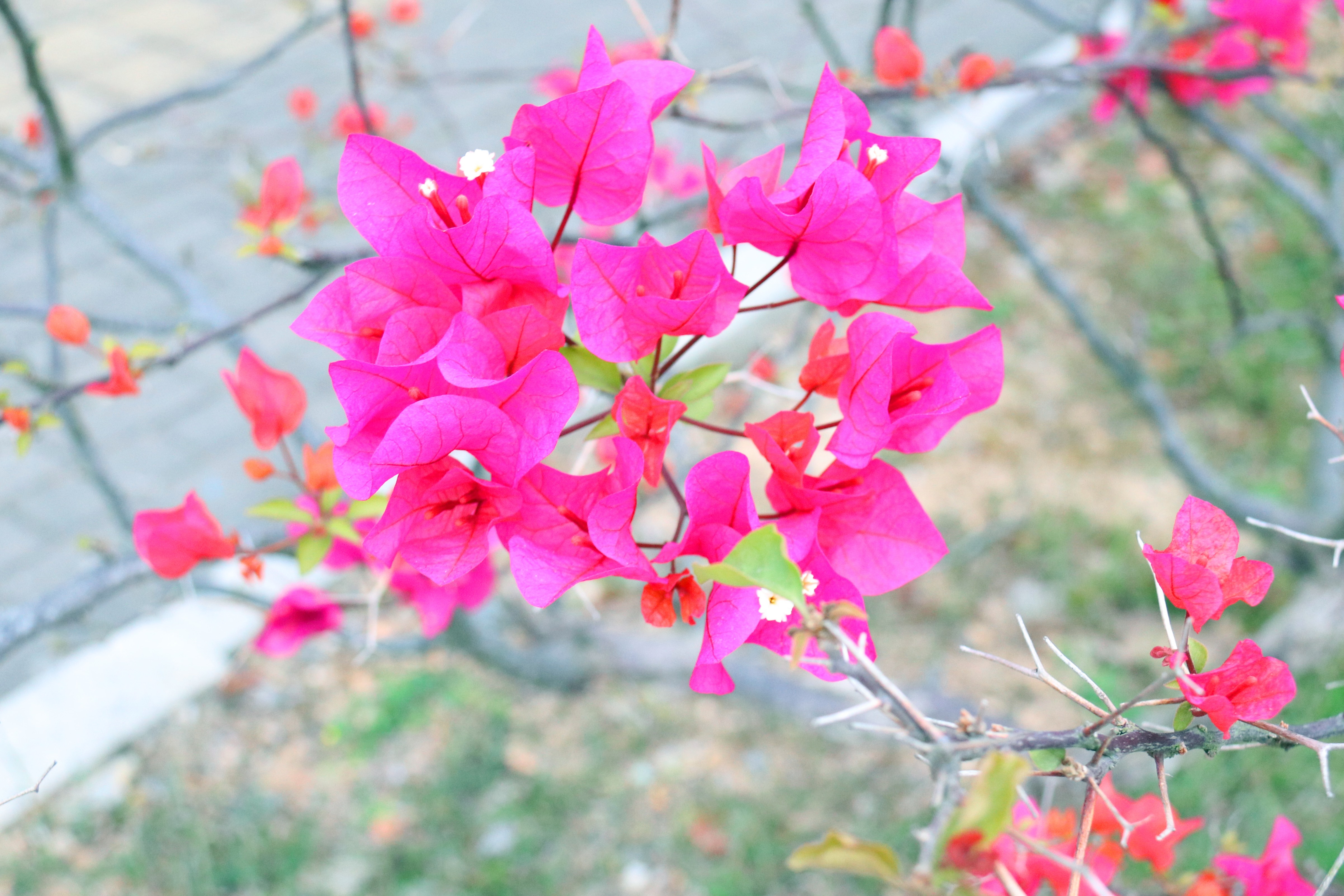 中国·88858cc永利(股份)官方网站