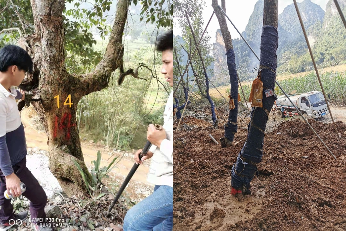 中国·88858cc永利(股份)官方网站