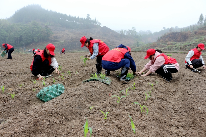 中国·88858cc永利(股份)官方网站