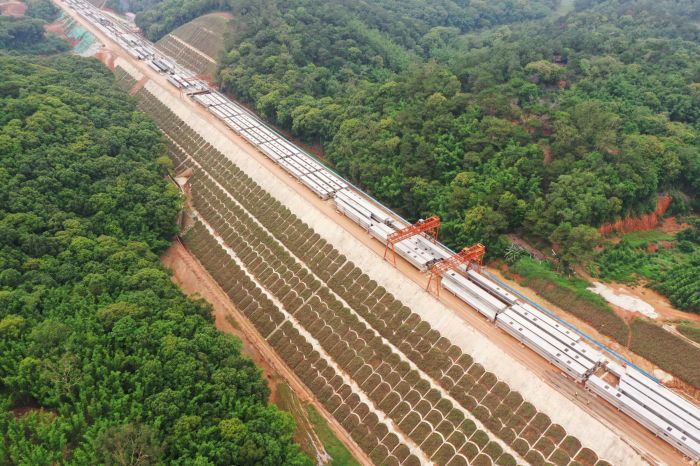 中国·88858cc永利(股份)官方网站