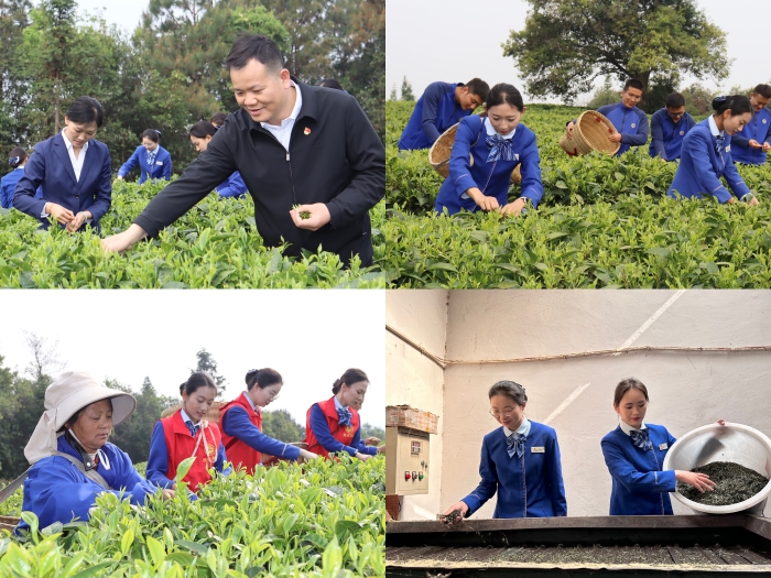 中国·88858cc永利(股份)官方网站